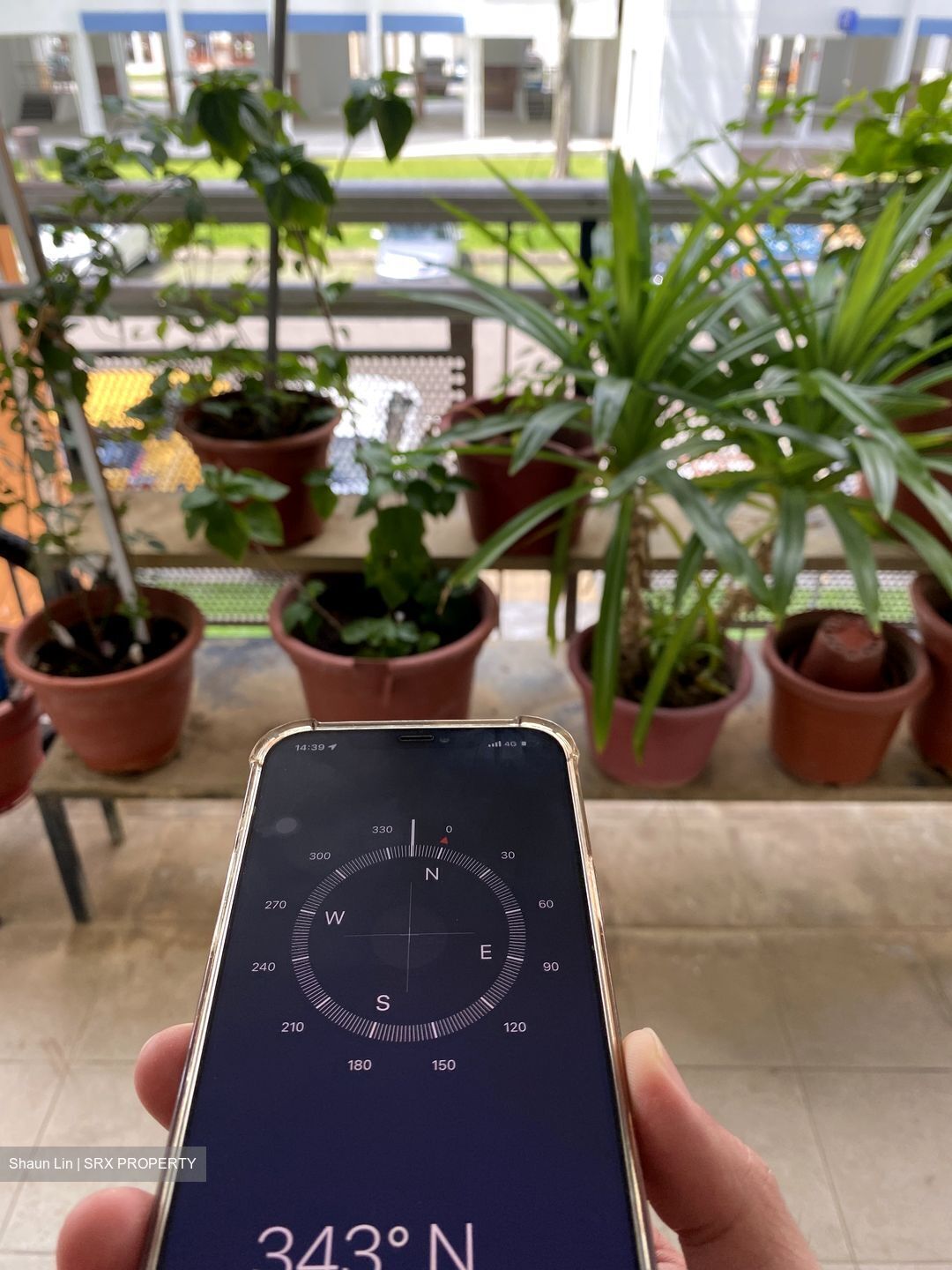 Yishun Gardens thumbnail photo
